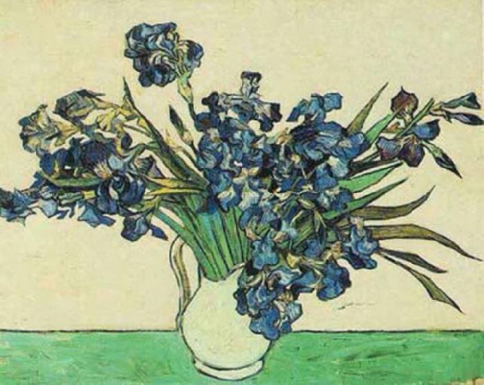 Vincent Van Gogh Vase with Irises Sweden oil painting art